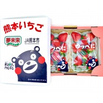 日本空運進口-熊本熊草莓 (預購)