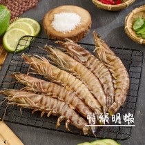 台灣大明蝦