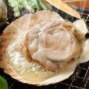 北海道活凍全殼扇貝